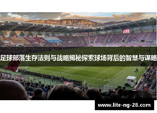 足球部落生存法则与战略揭秘探索球场背后的智慧与谋略