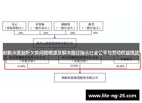 赵鹏深度剖析欠薪问题根源及解决路径揭示社会公平与劳动权益挑战