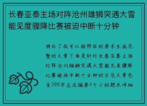 长春亚泰主场对阵沧州雄狮突遇大雪能见度骤降比赛被迫中断十分钟
